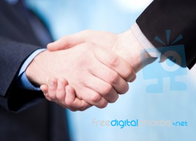 Successful Businessmen Shaking Hands Stock Photo