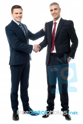 Successful Businessmen Shaking Hands Stock Photo