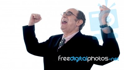 Successful Senior Businessman Stock Photo