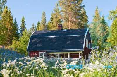 Old Cabin In A Forest Surrounded With Flowers Stock Photo