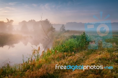 Summer Misty Sunrise On The River. Foggy River In The Morning. S… Stock Photo