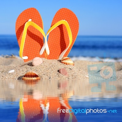 Summer Time Stock Photo