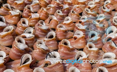 Sun-dried Fish At The Market In Thailand Stock Photo