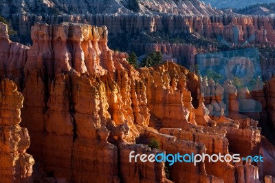 Sun Kissed Hoodoos And Pine Trees In Bryce Canyon Stock Photo Sun Kissed Hoodoos And Pine Trees In Bryce Canyon Stock Photo