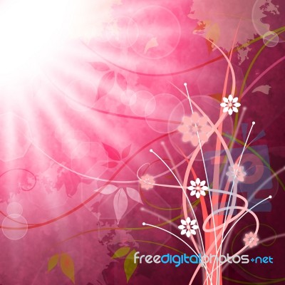 Sun Rays Means Flower Flowers And Pink Stock Image