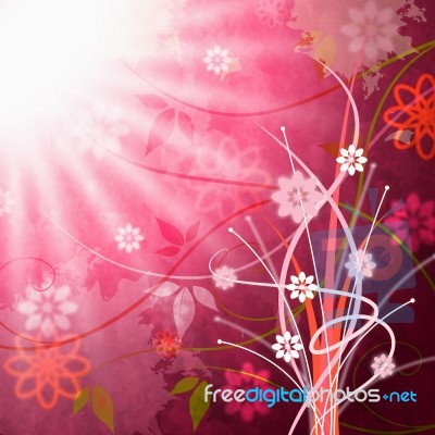 Sun Sunrays Shows Florals Beam And Floral Stock Image