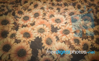 Sunflower On Old Paper Background Stock Photo