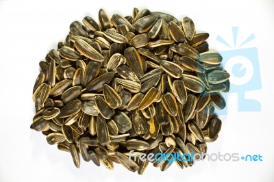 Sunflower Seeds Isolated On White Background Stock Photo