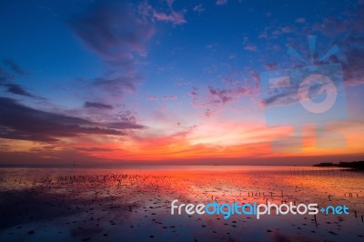 Sunrise Stock Photo Sunrise Stock Photo