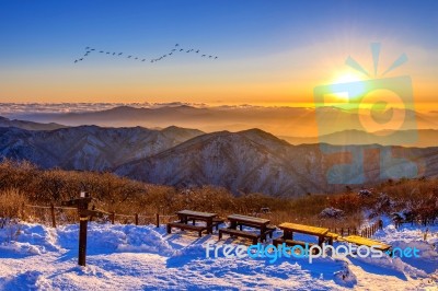 Sunrise At Deogyusan Mountains In Winter,south Korea Stock Photo