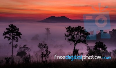 Sunrise At Tung Salang Luang Stock Photo