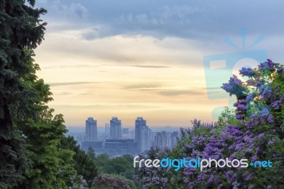 Sunrise In Kiev Botanical Garden Stock Photo Sunrise In Kiev Botanical Garden Stock Photo