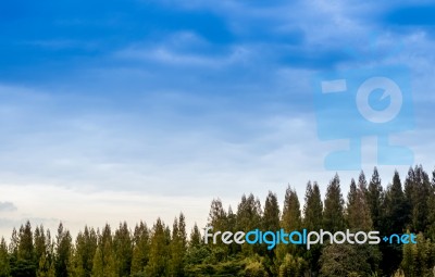 Sunrise Landscape Of Foggy And Cloudy Mountain Valley Stock Photo