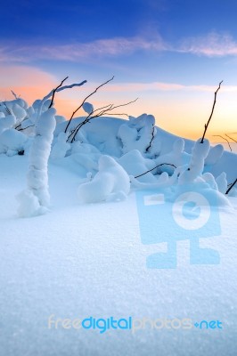 Sunrise On Deogyusan Mountains Covered With Snow In Winter,south Korea Stock Photo