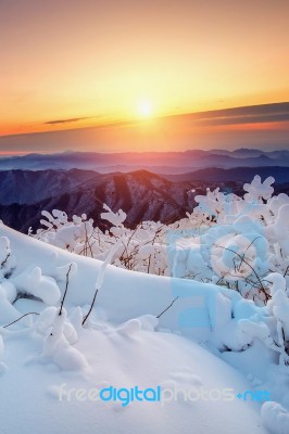 Sunrise On Deogyusan Mountains Covered With Snow In Winter,south Korea Stock Photo