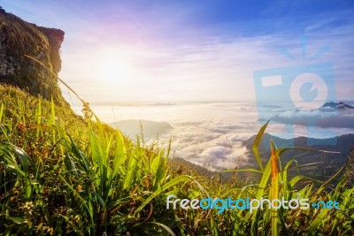 Sunrise On Phu Chi Fa Forest Park, Thailand Stock Photo Sunrise On Phu Chi Fa Forest Park, Thailand Stock Photo