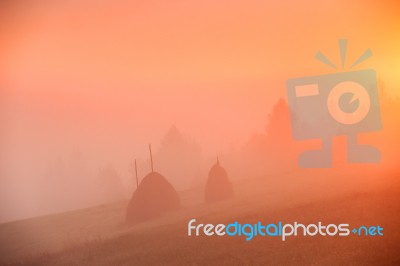 Sunrise Over Mountain Field. Haystacks In Misty Autumn Morning H… Stock Photo