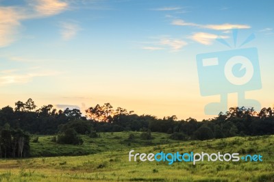 Sunset At Khao Yai Stock Photo