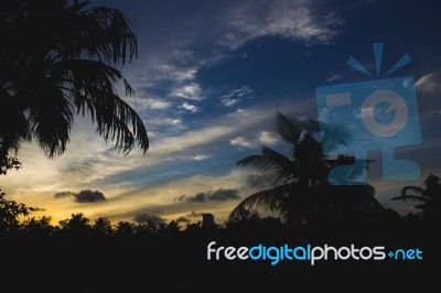 Sunset Behind Silhouettes Of Palm Trees Stock Photo