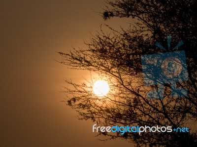 Sunset In Africa Stock Photo