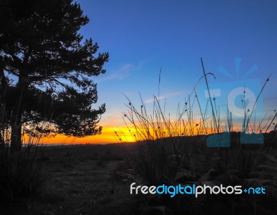 Sunset Over The Ashdown Forest In Sussex Stock Photo