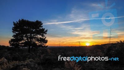 Sunset Over The Ashdown Forest In Sussex Stock Photo