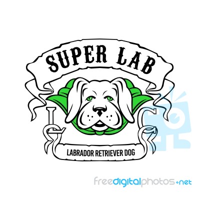 Super Labrador Retriever Dog Wearing Green Cape Stock Image