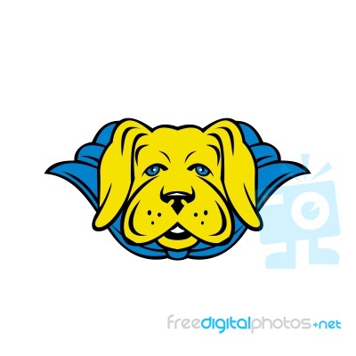 Super Yellow Lab Dog Wearing Blue Cape Stock Image