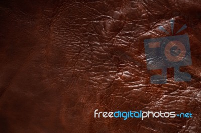 Surface Of Leather Stock Photo