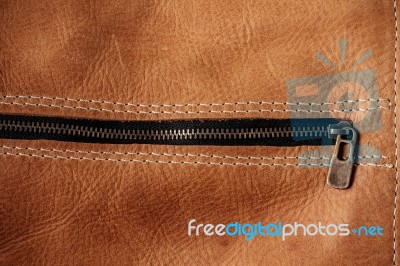 Surface Of Leather And Zipper Stock Photo
