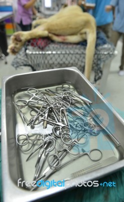 Surgical Instruments Stock Photo