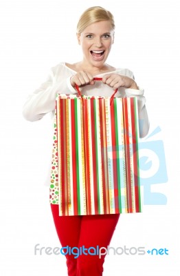 Surprising Lady With Gift Bag Stock Photo
