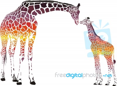 Surrealist Family Of Giraffes Stock Image