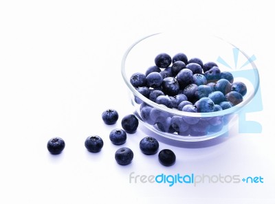 Sweet Blueberry Stock Photo