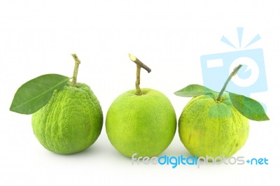 Sweet Green Oranges Stock Photo