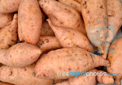 Sweet Potato Stock Photo