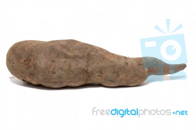 Sweet Potato On White Background Stock Photo