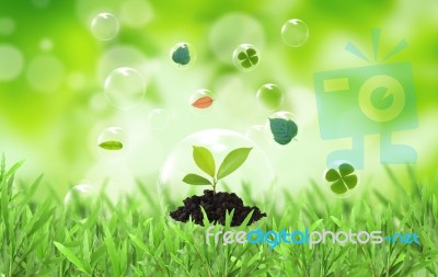 Symbols Of Environmental Protection Stock Photo