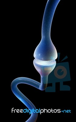 Synapse Stock Image