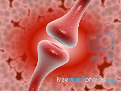 Synapse Stock Image