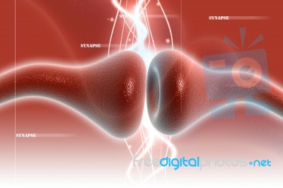 Synapse Stock Image