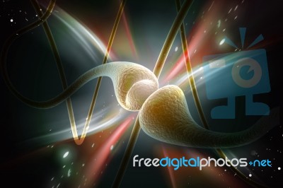 Synapse Stock Image