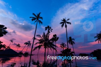 Tall Coconut Palm Trees At Twilight Sky Reflected In Water Stock Photo
