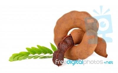Tamarind Isolated On The White Background Stock Photo Tamarind Isolated On The White Background Stock Photo