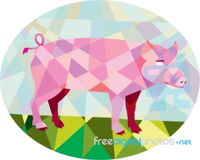 Tamworth Pig Side Oval Low Polygon Stock Image