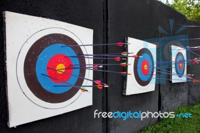 Target Archery And Many Arrow Stock Photo