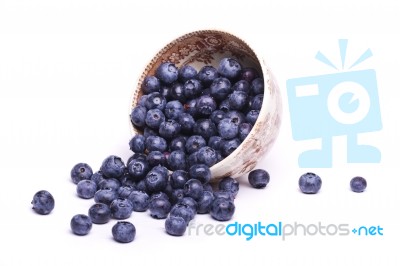 Tasty Blueberries Stock Photo
