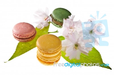 Tasty Colorful Macaroons Stock Photo