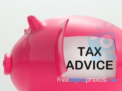 Tax Advice Piggy Bank Shows Advising About Taxes Stock Image