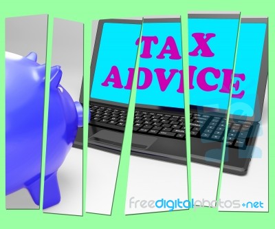 Tax Advice Piggy Bank Shows Professional Advising On  Taxation Stock Image